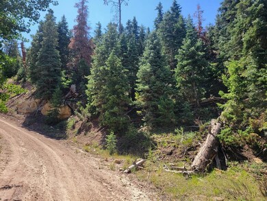 Lot & Road1
