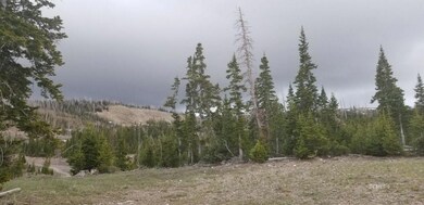 890 E Steam Engine Dr unit SEM-21, Brian Head, UT 84719 - photo 4