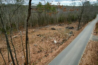 Lot #40 Round-The-pond Rd, Norway, ME 04268 - photo 2