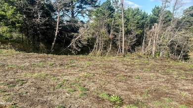 TL 600 SW Sailfish Loop, Waldport, OR 97394 - photo 2