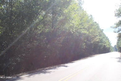 4 Byhalia Rd, Byhalia, MS 38611 - photo 2