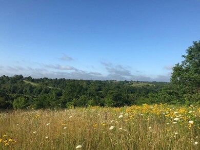 8947 Cornishville Rd, Harrodsburg, KY 40330 - photo 7