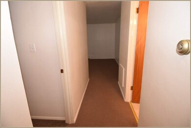 229 Webster St unit 4, Batavia, IL 60510 - photo 4