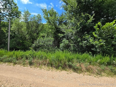 27800 E Valley Ln, Proctor, OK 74464 - photo 4