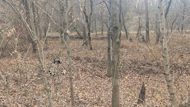 0 Weaver Ln unit 25-699, Charlotte, AR 72522 - photo 6