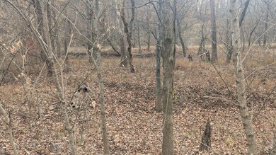 401 Weaver Ln, Charlotte, AR 72522 - photo 6