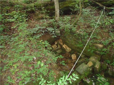 1211 Alf Harris Rd, Prospect, TN 38477 - photo 4