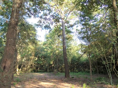 31032 Hegar Rd, Hockley, TX 77447 - photo 3