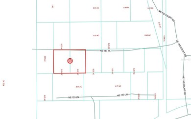 TBD NE 154th Place unit LOT 6 & 7, Fort Mc Coy, FL 32134 - photo 3