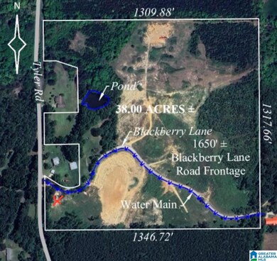 22 Blackberry Ln, Remlap, AL 35133 - photo 2