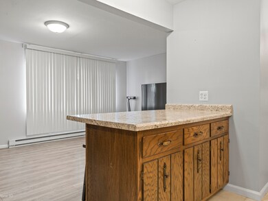 20206 S Frankfort Square Rd unit A, Frankfort, IL 60423 - photo 7