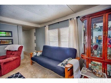 135 E Main, Isle, MN 56342 - photo 7