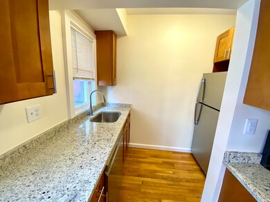 24 Clyde Rd unit 1, Watertown, MA 02472 - photo 7