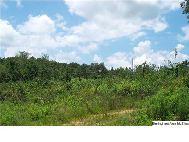 0 County Road 66 unit 2, Wedowee, AL 36278 - photo 5