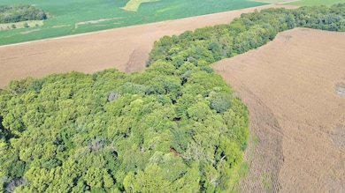 NW/c of NW 120th St and Nw Buffalo Rd - Tract 1, Potwin, KS 67123 - photo 6