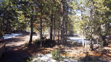 16500 Sprague Loop, La Pine, OR 97739 - photo 5