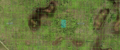 0 N A unit MFRO6266675, Frostproof, FL 33843 - photo 3