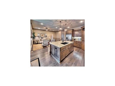 1217 SW Neelie Ln, Lees Summit, MO 64082 - photo 7