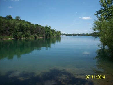 536 Cabernet Way, Kimberling City, MO 65686 - photo 3