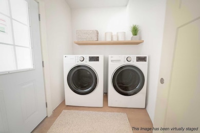 Pine Tree Circle Photo VS-4