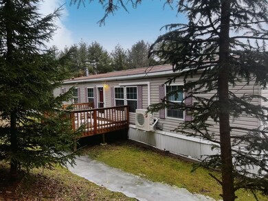 2233 Covert Hollow Rd, Hamden, NY 13782 - photo 4