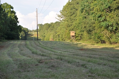 0 Loven Mill Rd, Richland, GA 31825 - photo 2