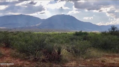 5A Parcel Id 113-05-029 unit 123, Pearce, AZ 85625 - photo 4