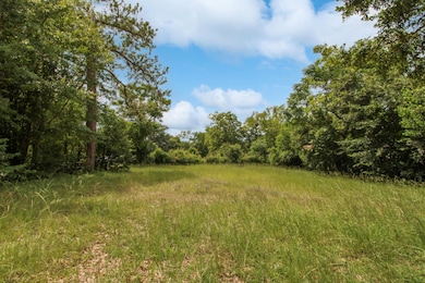 3101 Farrow Rd, Columbia, SC 29203 - photo 3