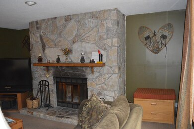 5 Northbrook Village Rd unit E-16, Dover, VT 05356 - photo 7