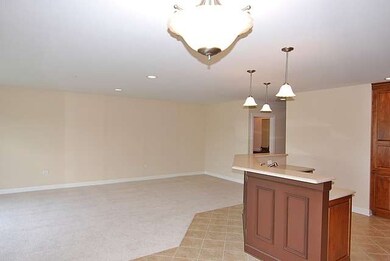 206 N Water St unit 301, Batavia, IL 60510 - photo 5