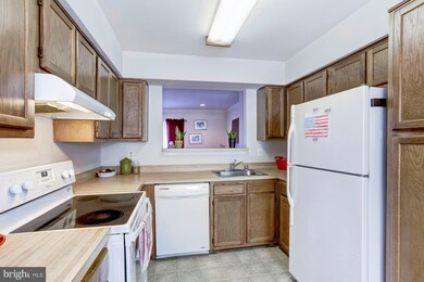 3336 Major Denton Dr, Beltsville, MD 20705 - photo 7