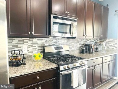 159 Prado Ln unit 2702, Clarksburg, MD 20871 - photo 4