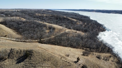 TBD 300th St, Beardsley, MN 56211 - photo 4
