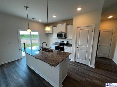 5114 E Old Marion Hwy (Dillon Ll-B2 Lot 29), Florence, SC 29506 - photo 5