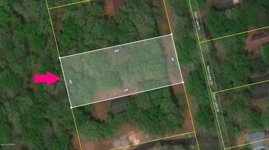 Lot 85 Fawn Lake Dr, Lackawaxen Township, PA 18428 - photo 2