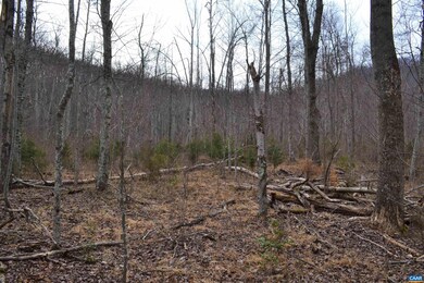 0 Walnut Branch Ln, North Garden, VA 22959 - photo 6