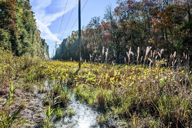 2515 Joseph Pearline Rd, Johns Island, SC 29455 - photo 4