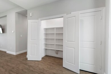 Large walk-in pantry offering ample built-in shelving to keep everything neatly arranged.