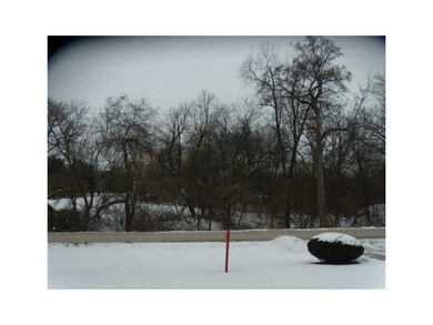 Yard. from Living Room Window