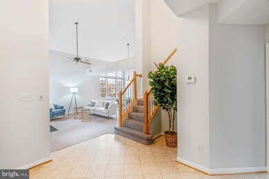 7029 Haycock Rd unit D, Falls Church, VA 22043 - photo 6