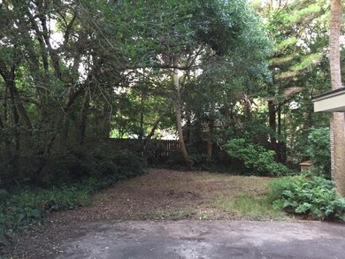 3203 back yard other way