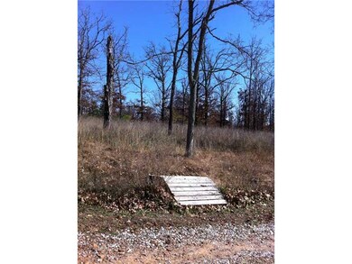 0 S Hwy 170 1a unit 668159, West Fork, AR 72774 - photo 5