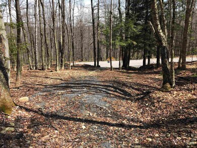 5 Branch Hill Rd unit 5, Readsboro, VT 05350 - photo 6