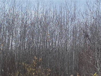 Near Timber Rd, Catawba, WI 54515 - photo 3