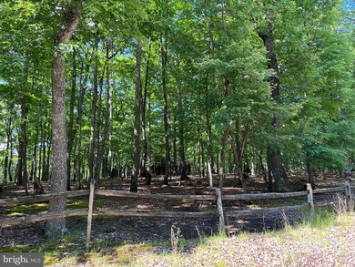 396 Moss Ln, Great Cacapon, WV 25422 - photo 3