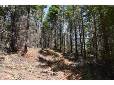 0 NW Meadow Lake Rd unit 19045317, Carlton, OR 97111 - photo 2