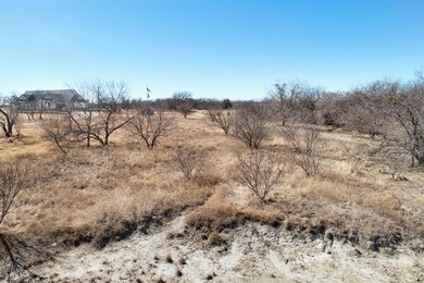 TBD Goldfinch Ln, Weatherford, TX 76088 - photo 5