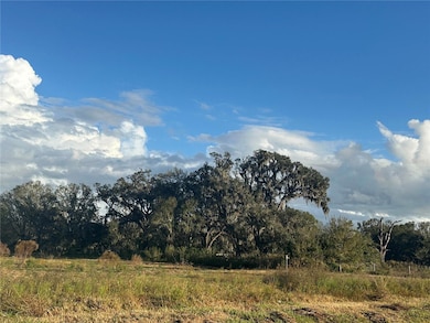 0 Polk Rd unit MFRA4632828, Wauchula, FL - photo 3