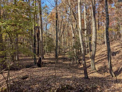 0 Baron Dekalb Rd, Camden, SC 29020 - photo 7