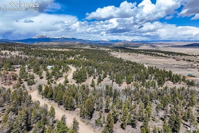1430 Singletree Rd, Hartsel, CO 80449 - photo 5